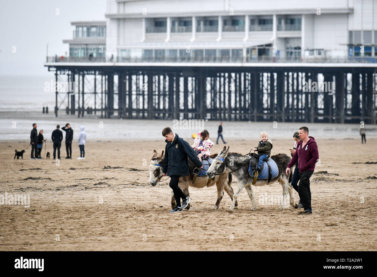 Kinder Reiten auf Eseln in Weston-super-Mare. Stockfoto