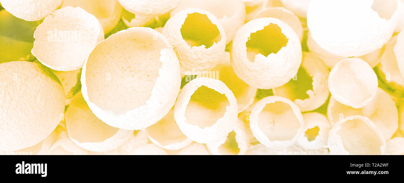 Knickeier Muster wie bunte gelben Hintergrund. Ansicht von oben, flach, selektive konzentrieren. Ostern kreative minimalen Begriff. Eggshell Textur für Kunst bac Stockfoto