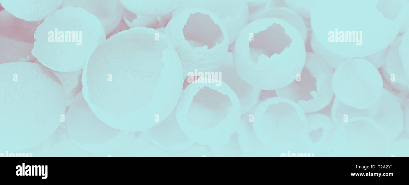 Knickeier Muster wie bunten blauen Hintergrund. Ansicht von oben, flach, selektive konzentrieren. Ostern kreative minimalen Begriff. Eggshell Textur für Kunst hinterg Stockfoto