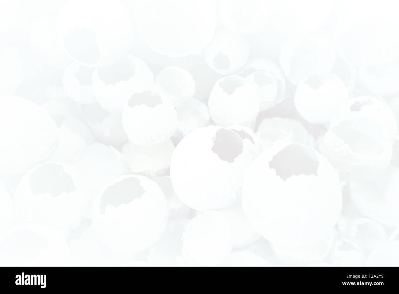 Knickeier Muster wie weißer und grauer Hintergrund. Ansicht von oben, flach, selektive konzentrieren. Ostern kreative minimalen Begriff. Eggshell Textur für Kunst zurück Stockfoto
