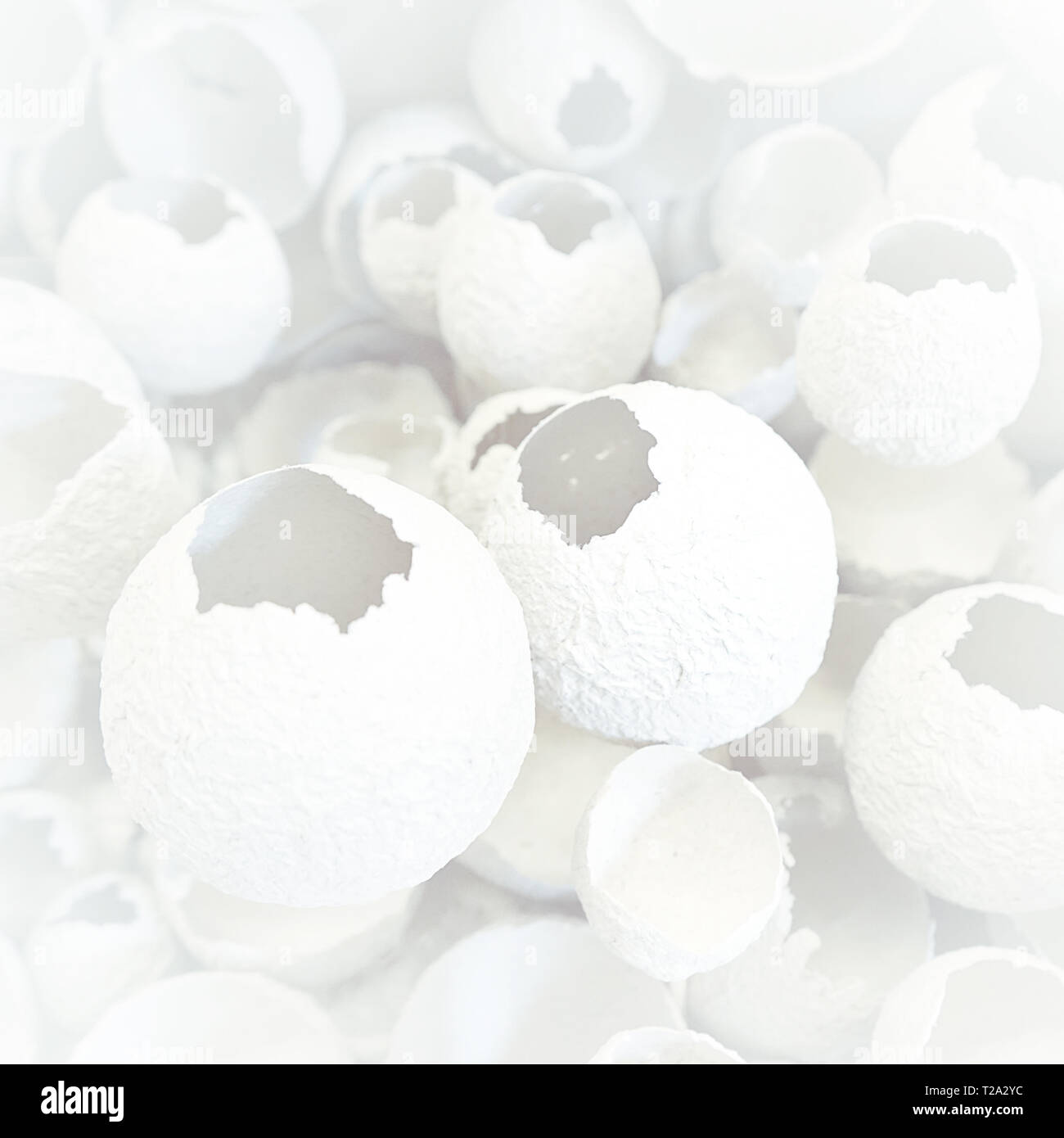 Knickeier Muster wie weißer und grauer Hintergrund. Ansicht von oben, flach, selektive konzentrieren. Ostern kreative minimalen Begriff. Eggshell Textur für Kunst zurück Stockfoto