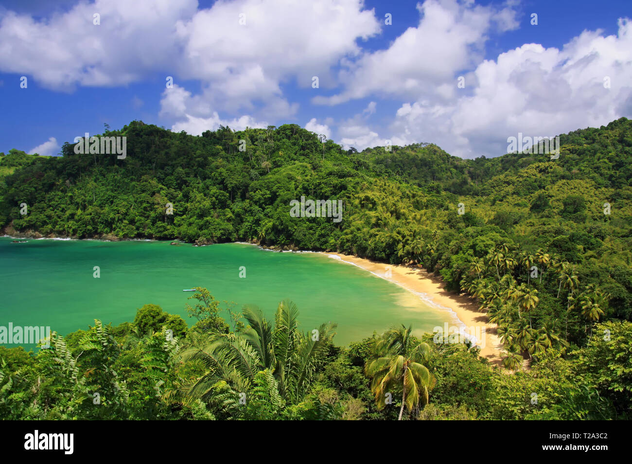 Überblick über die Englishman's Bay (Tobago, West Indies) in der Nähe von Castara Stockfoto