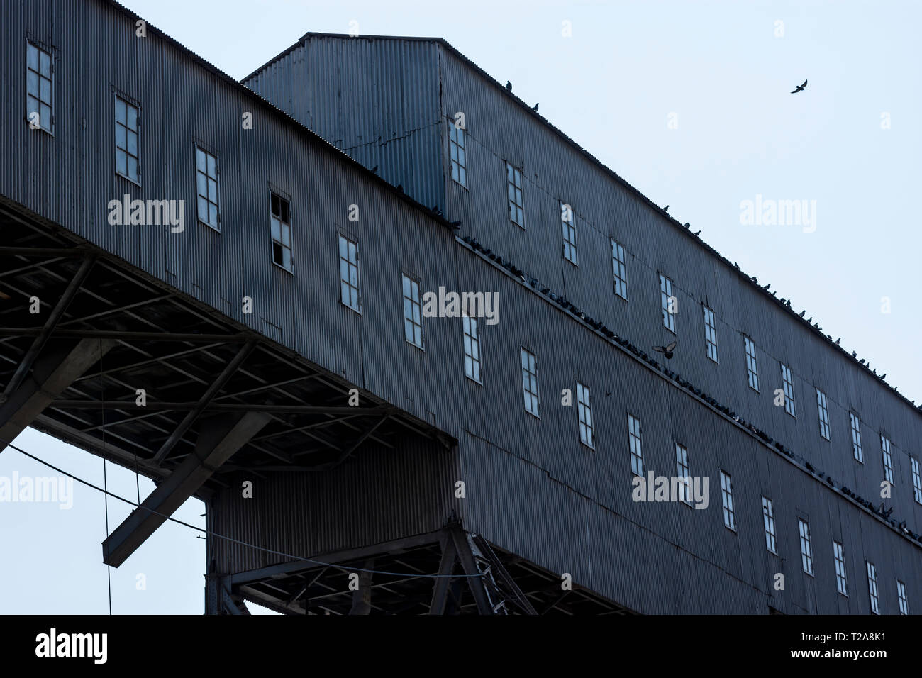 Anghel Saligny Silos an maritimen Hafen Constanta, Rumänien Stockfoto