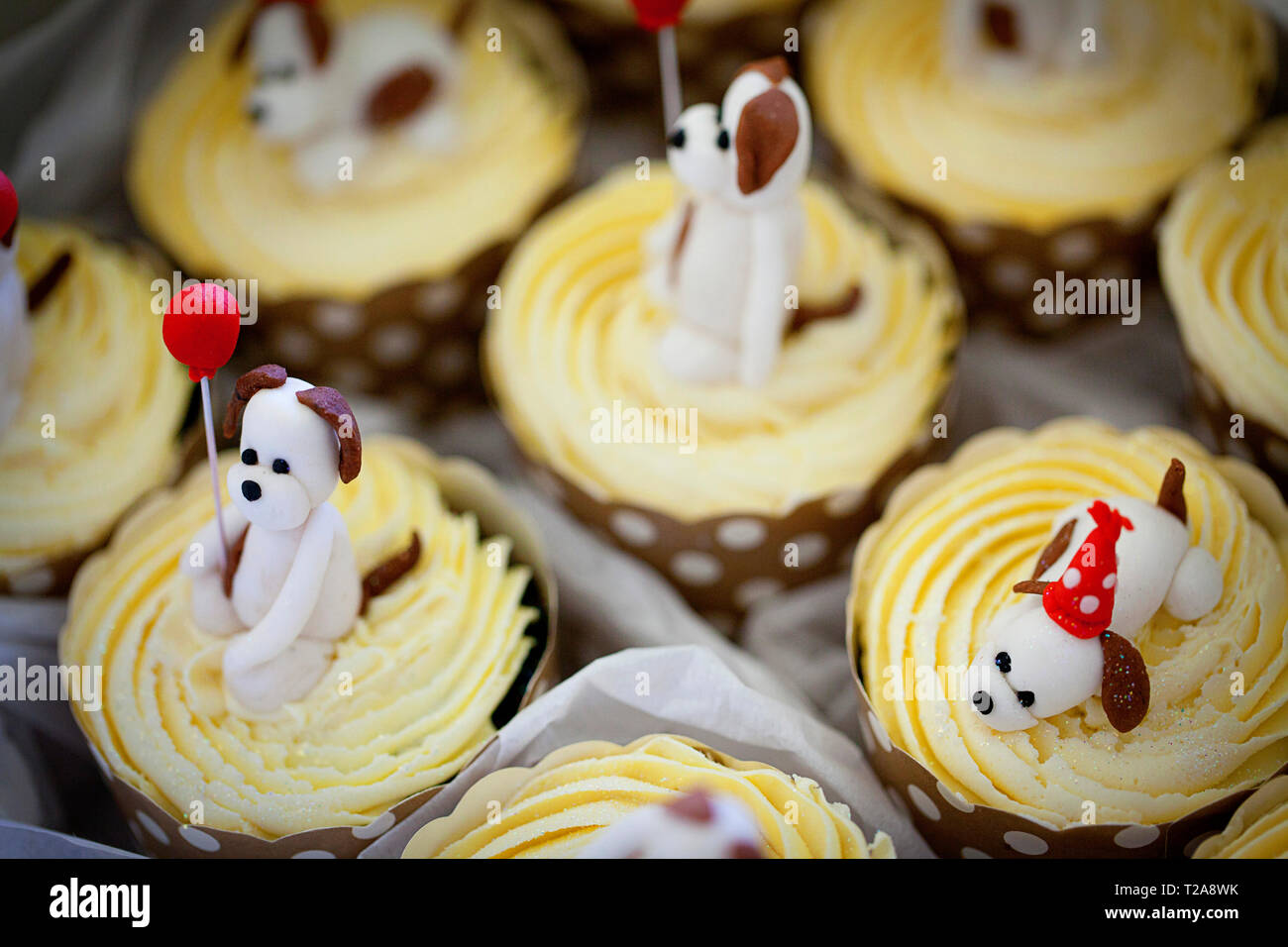 Festliche Kuchen mit Hundemotiv Stockfoto
