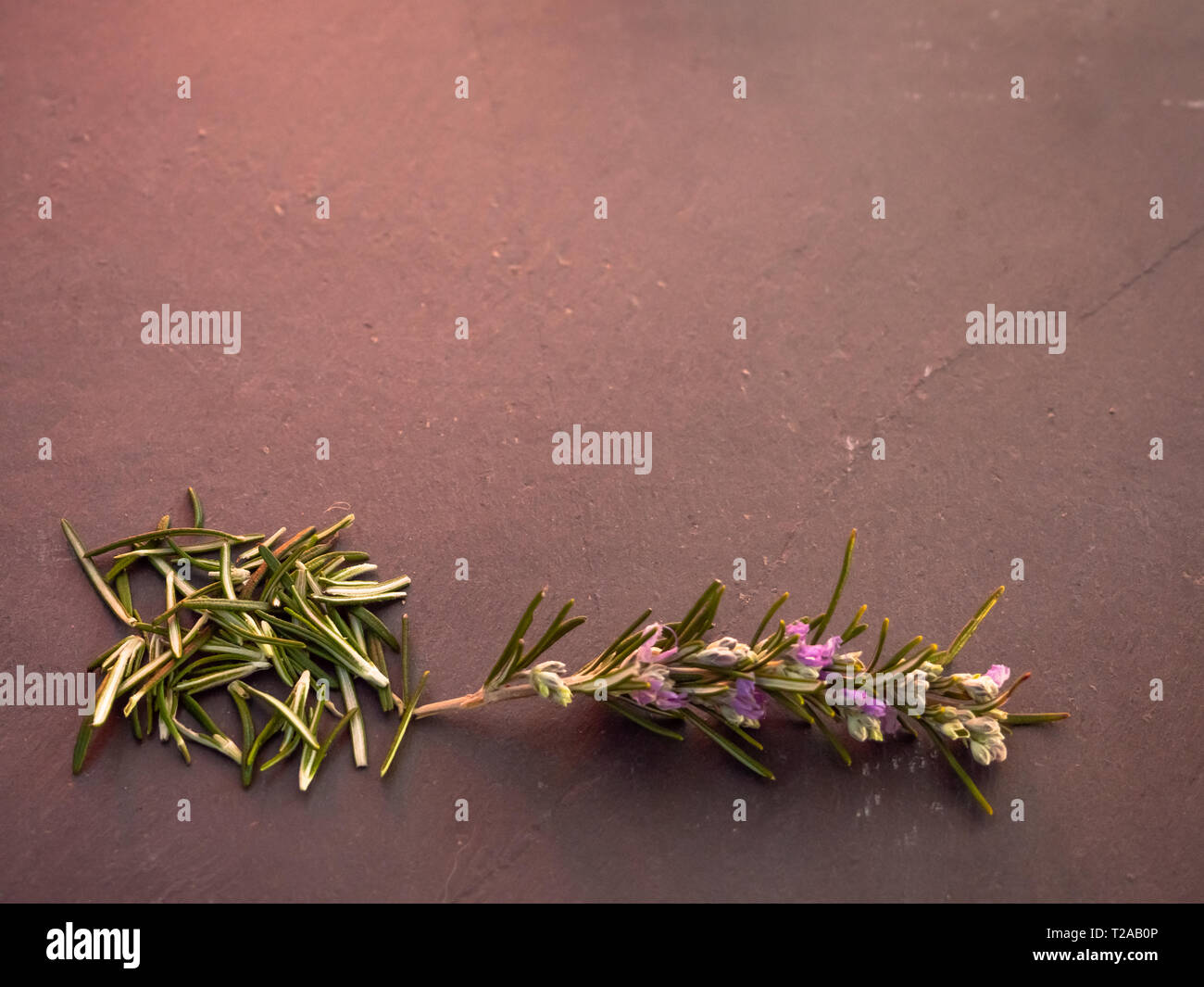 Man Rosmarin blühender Zweig und Rosmarin Blätter auf einer Schiefertafel Platte Stockfoto