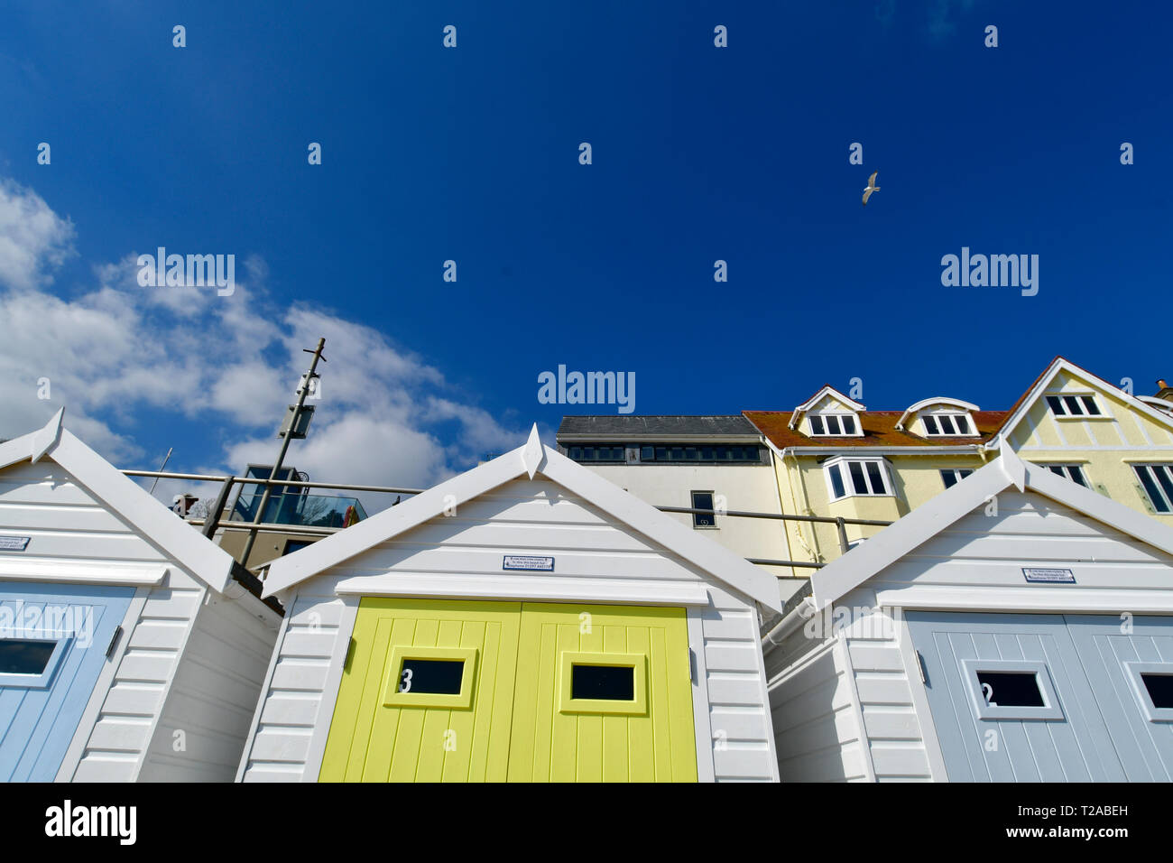 UK. bunten Badekabinen gegen einen tiefen blauen Himmel mit weißen Wolken und eine einsame Möwe im Flug auf der Promenade von Lyme Regis in Dorset Stockfoto