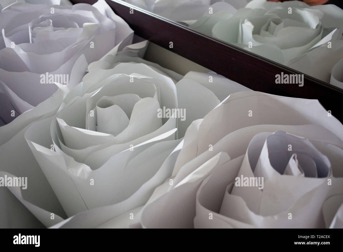 Großer dekorativer Papier Rosen Stockfoto