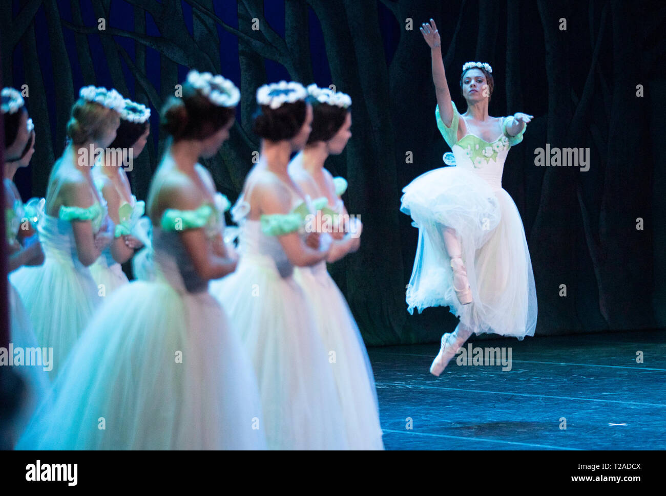 Tänzerinnen und Tänzer aus der Nationalen Kubanischen Ballett für den Prinzen von Wales und die Herzogin von Cornwall im Rahmen einer Gala die kulturelle Leistung im Gran Teatro de La Habana Alicia Alonso, in Havanna, Kuba durchführen, als Teil einer historischen Reise, die feiert die kulturellen Bindungen zwischen dem Vereinigten Königreich und den kommunistischen Staat. Stockfoto