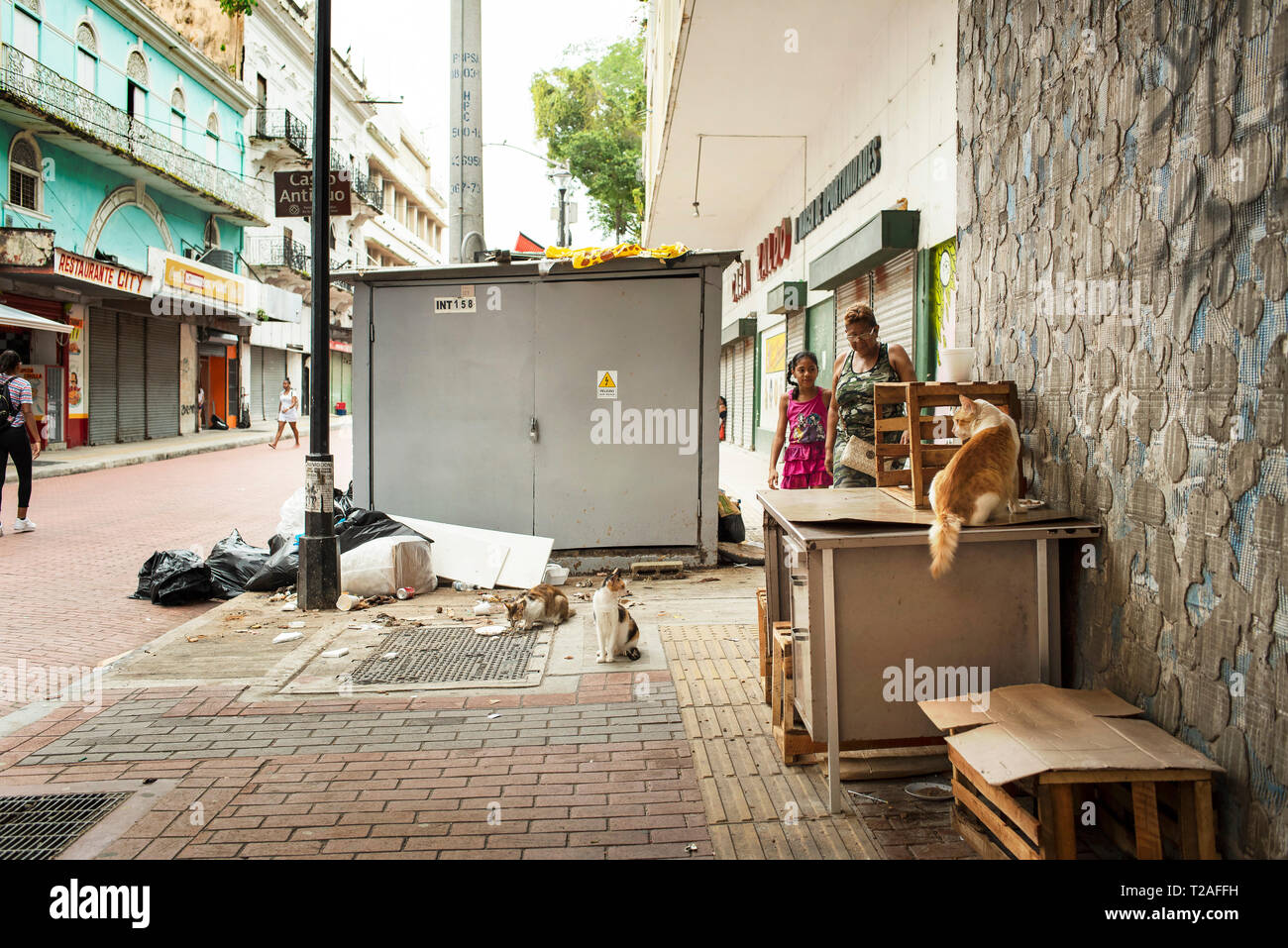 Straße Katzen Fütterung von Essensresten auf der Avenida Central, der Haupteinkaufsstraße von Panama City, Panama, Mittelamerika. Okt 2018 Stockfoto