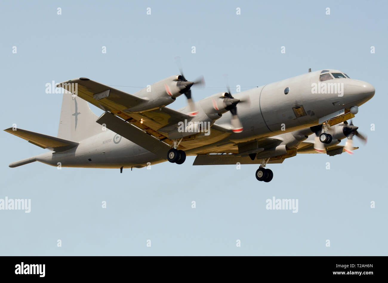 Royal New Zealand Air Force Lockheed P-3 Orion Ebene, von L-3 Communications Canada aktualisiert und jetzt als P-3K2 bezeichnet. Seeüberwachungsflugzeuge 5 sqn Stockfoto