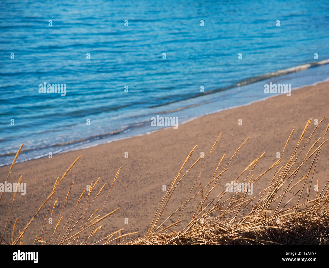 Samen Köpfen von der Strand in Tromsø, Norwegen Stockfoto