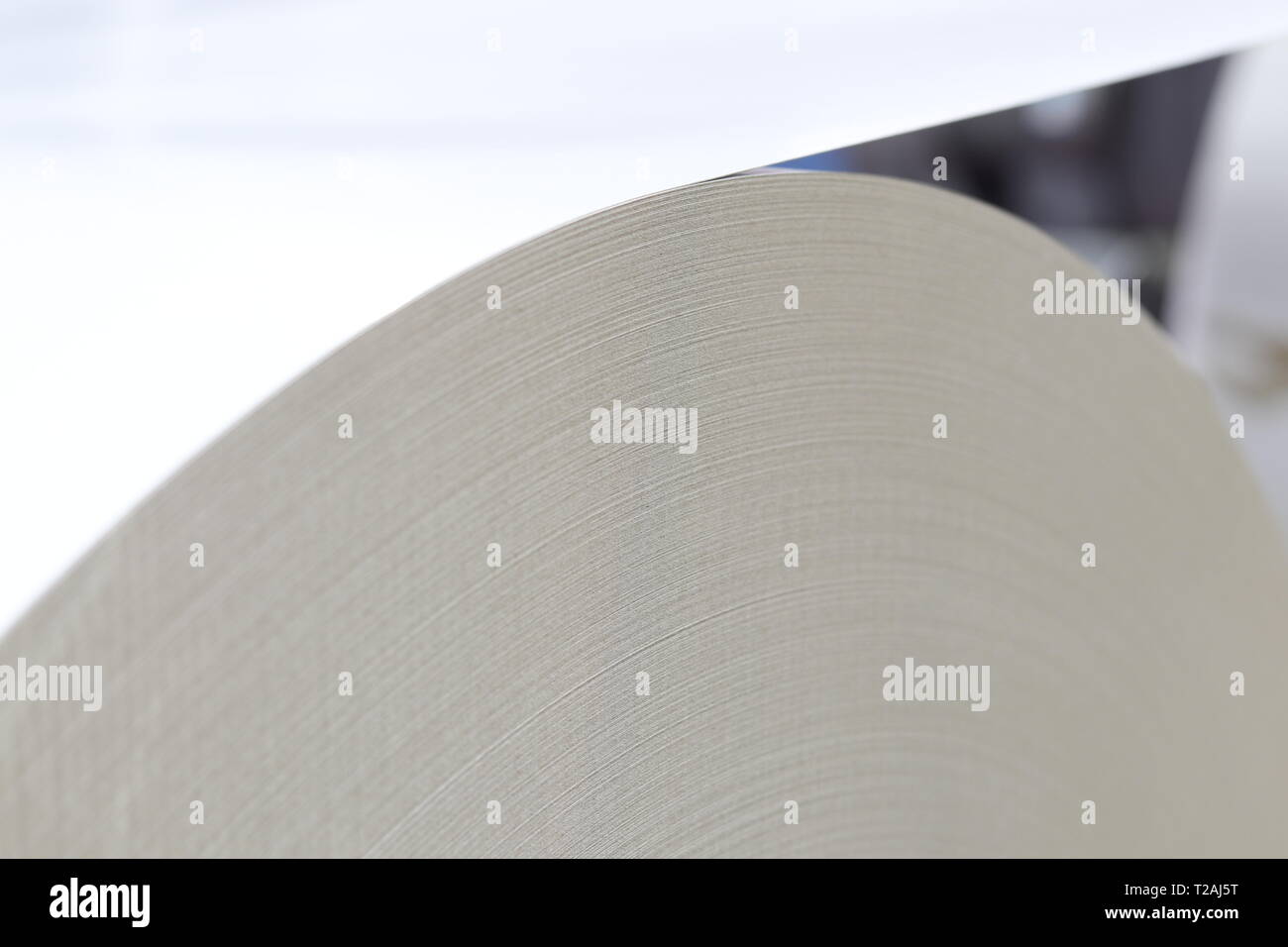 Rolle weißen Papier in modernen Papier Schneidemaschine Stockfoto