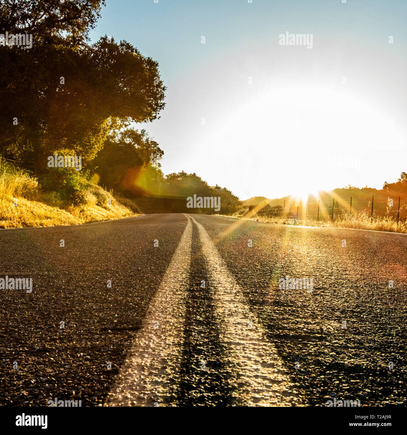 Straße bei Sonnenuntergang in San Luis Obispo, Kalifornien, USA Stockfoto