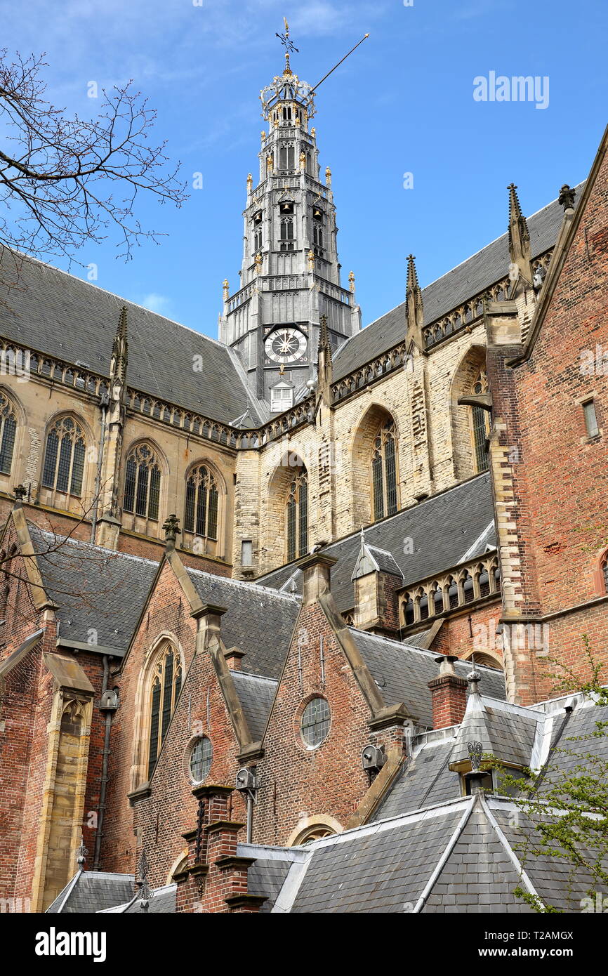 Die reich verzierten und farbenprächtigen Architektur von St. Bavokerk Kirche (mit Schnitzereien) in Haarlem, Niederlande Stockfoto