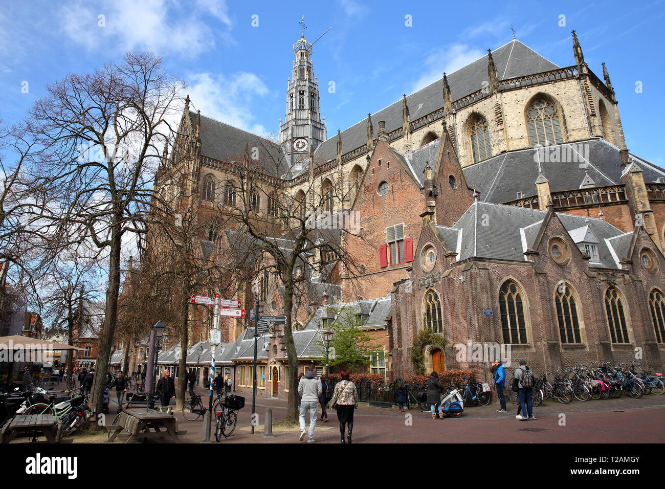 HAARLEM, Niederlande - 24. MÄRZ 2019: Die reich verzierten und farbenprächtigen Architektur von St. Bavokerk Kirche (mit Schnitzereien) Stockfoto