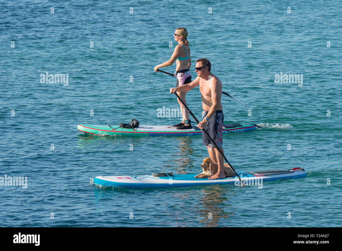 Ein Paar der Leute Paddle Boarding im Meer. Mann und Frau stehen auf Paddle Boards Stockfoto