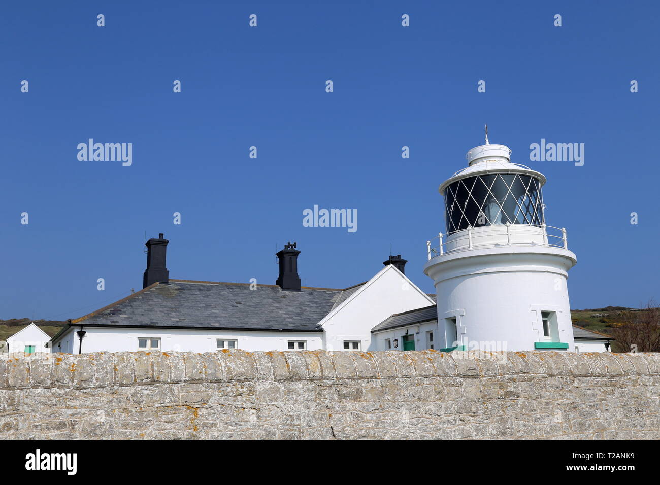 Amboss Point Lighthouse, Durlston Country Park, Swanage, Isle of Purbeck, Dorset, England, Großbritannien, USA, UK, Europa Stockfoto