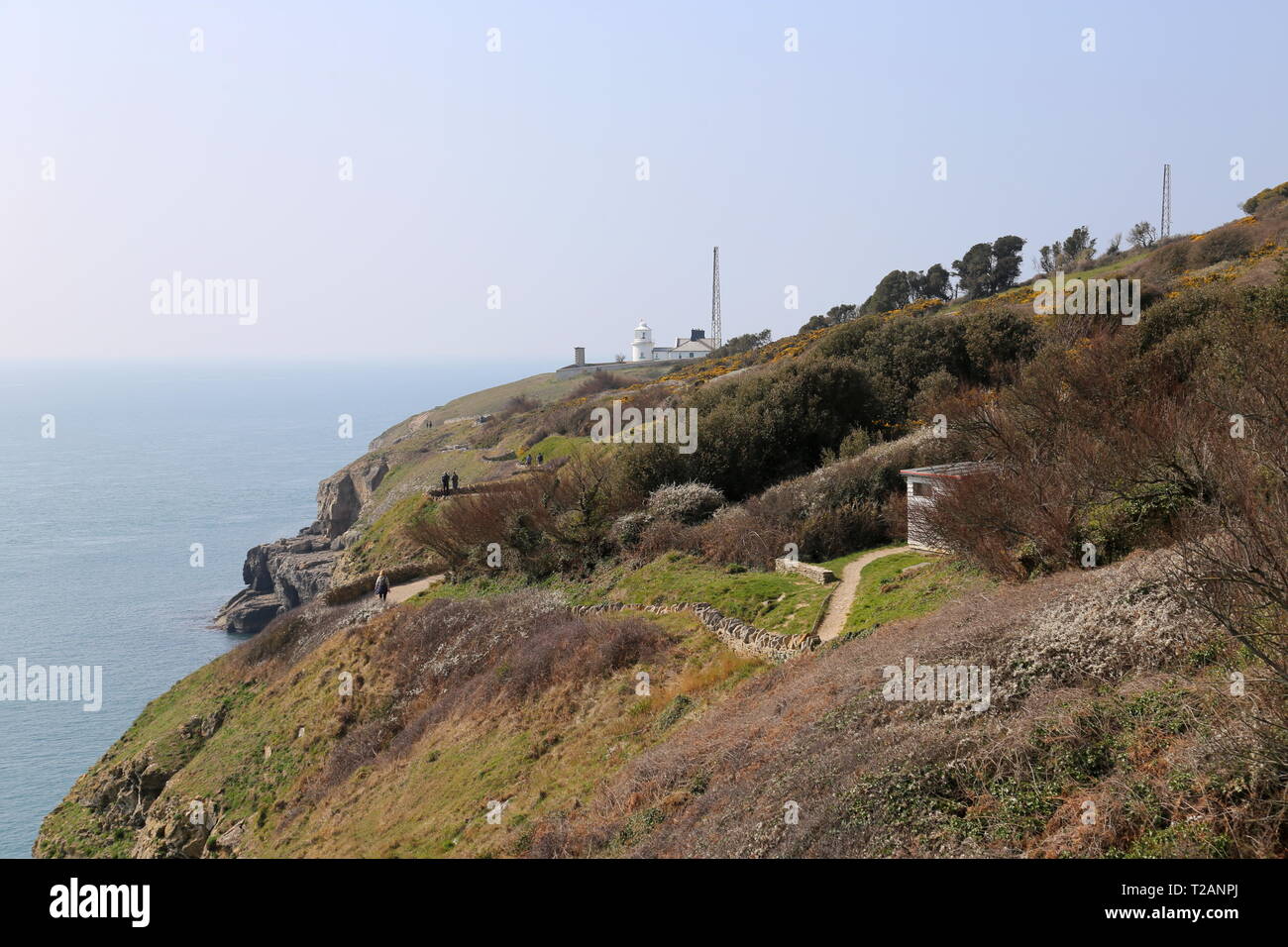 Coast Path, Durlston Country Park, Swanage, Isle of Purbeck, Dorset, England, Großbritannien, USA, UK, Europa Stockfoto