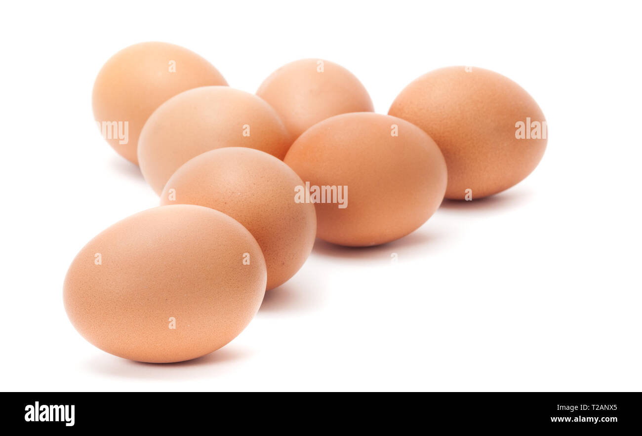 Groupe von sieben braune Eier isoliert auf Weiss mit Platz für Ihren Text kopieren Stockfoto