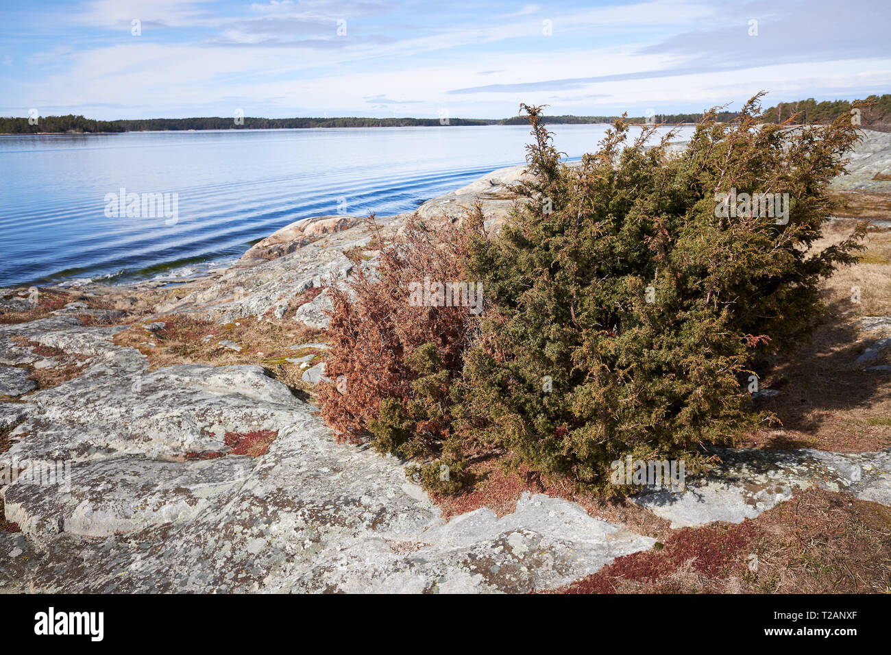 Ruhigen Sommer Landschaft an der Ostsee in Kasnäs, Kemiö, Finnland. Wide Angle Shot der Felsen an der Küste bei finnischen Schären. Stockfoto