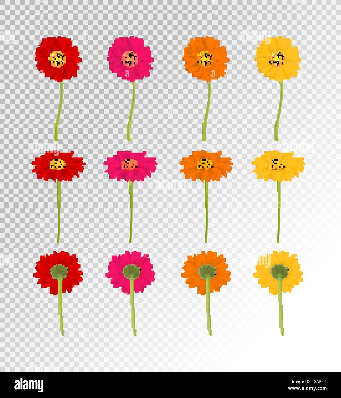 Große bunte Gerbers Blumen, Vektor, Abbildung Stock Vektor