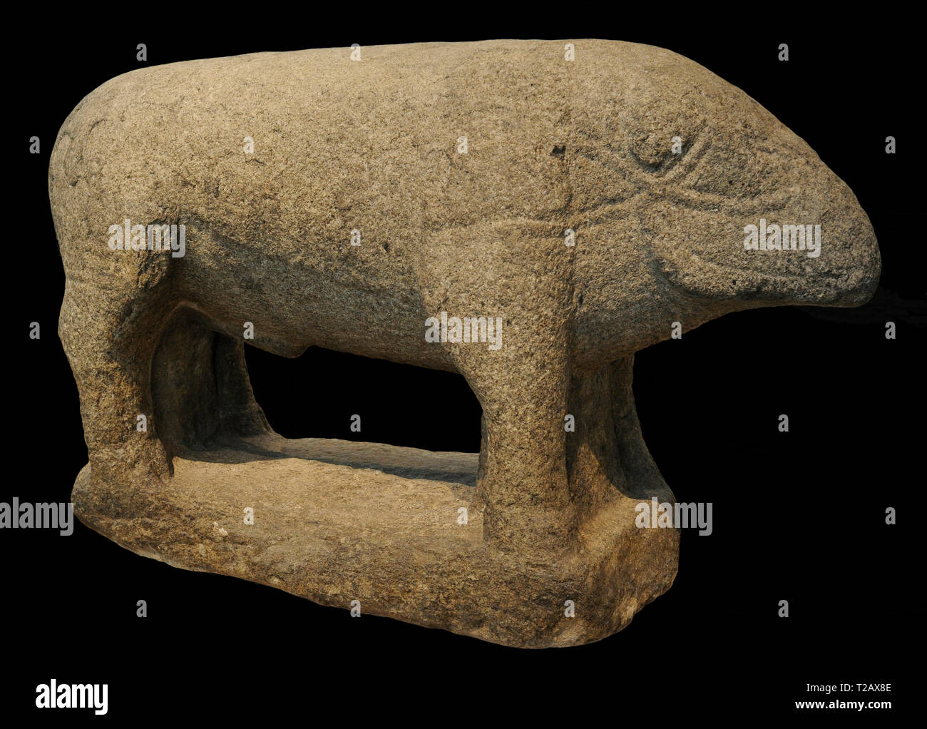 Vettonian Kultur. Verraco (Schwein). 3 rd-1st Jahrhunderte v. Chr.. Granit. Provinz Avila, Kastilien und Leon, Spanien. Nationalen Archäologischen Museum. Madrid. Spanien. Stockfoto