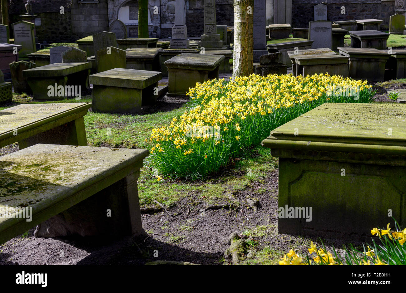 Die Kirk von St Nicholas, der Union Street, Aberdeen, Aberdeenshire, Schottland, UK - Blick auf den Friedhof. Stockfoto