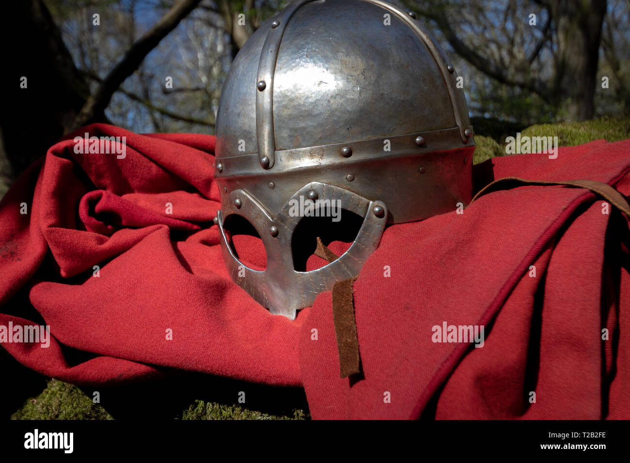 Gjermundbu wikinger-helm-Replik auf rotem Mantel auf moosem Baumzweig sitzend Stockfoto