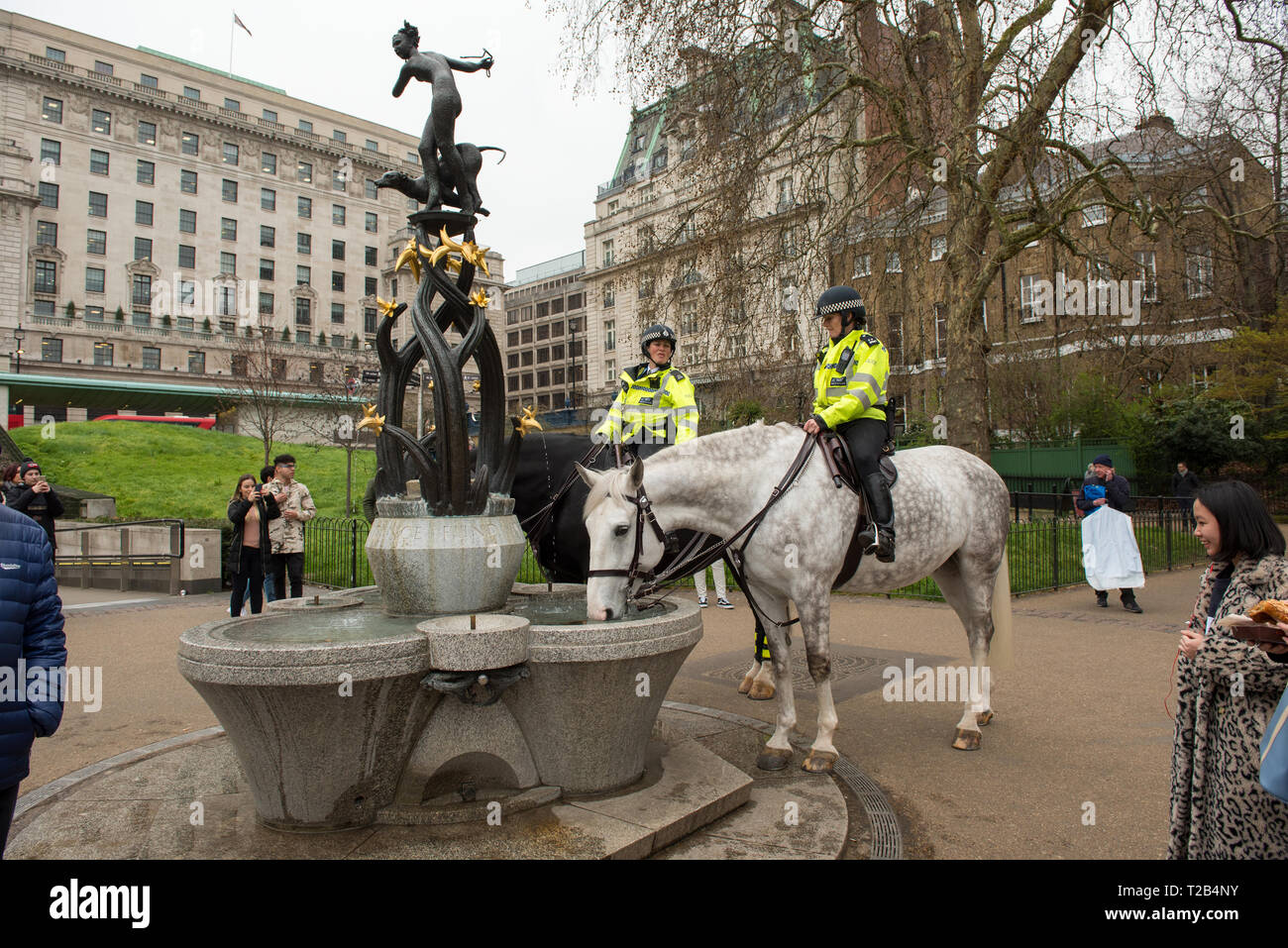 LONDON, UK, 22. MÄRZ 2019: Polizistin aus der Metropolitan Police montiert Zweig warten, während ihre Pferde von Trinkwasser aus einer öffentlichen Brunnen Stockfoto