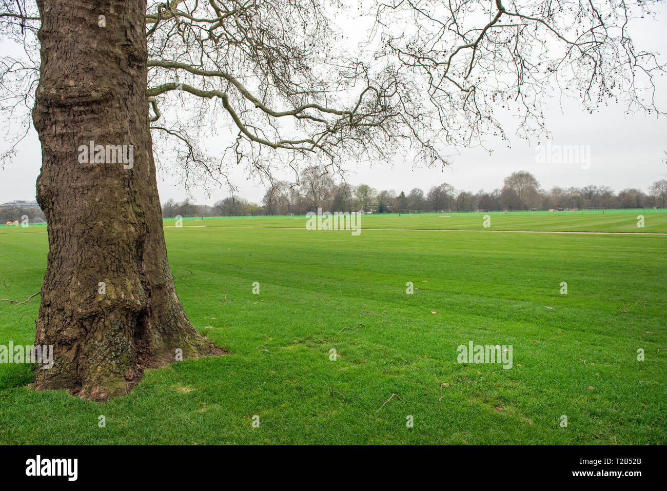 LONDON, UK, 22. MÄRZ 2019: Leute Relaxen im Hyde Park, der größte der Königlichen Parks, im Herzen der Stadt Stockfoto