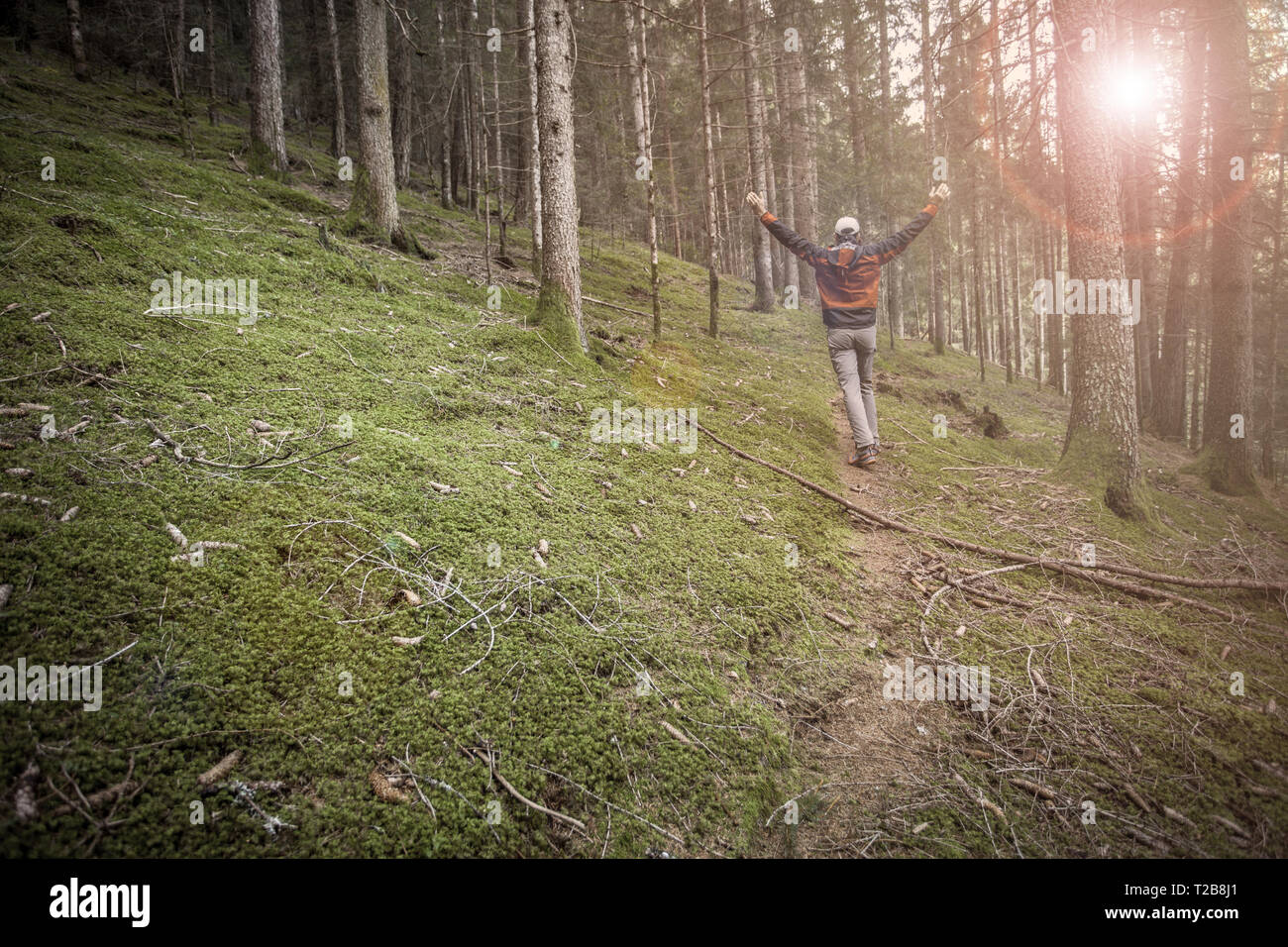 Ein Trekker wandern solo unter den Wald in ein bewölkter Tag Stockfoto