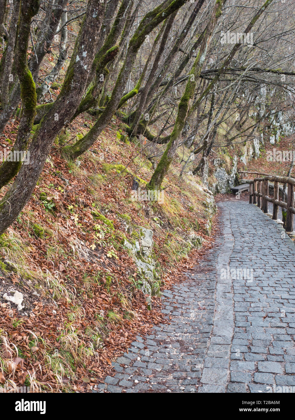Leere Stein zu Fuß unterwegs in der Natur Nationalpark Plitvicer Seen in Kroatien im Winter Stockfoto
