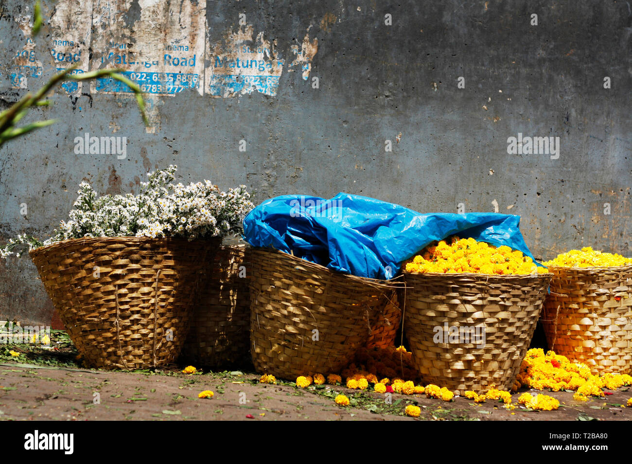 Körbe mit Blumen auf Dadar Blumenmarkt, Mumbai, Indien. Stockfoto