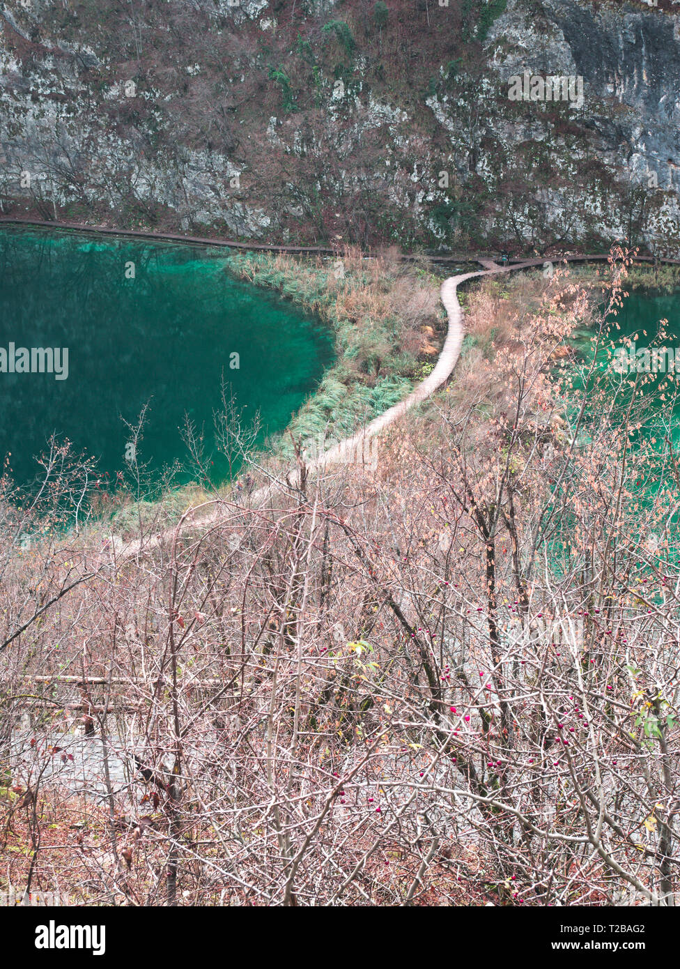 Holzbrücke über die Seen im Naturpark Plitvicer Seen in Kroatien Stockfoto