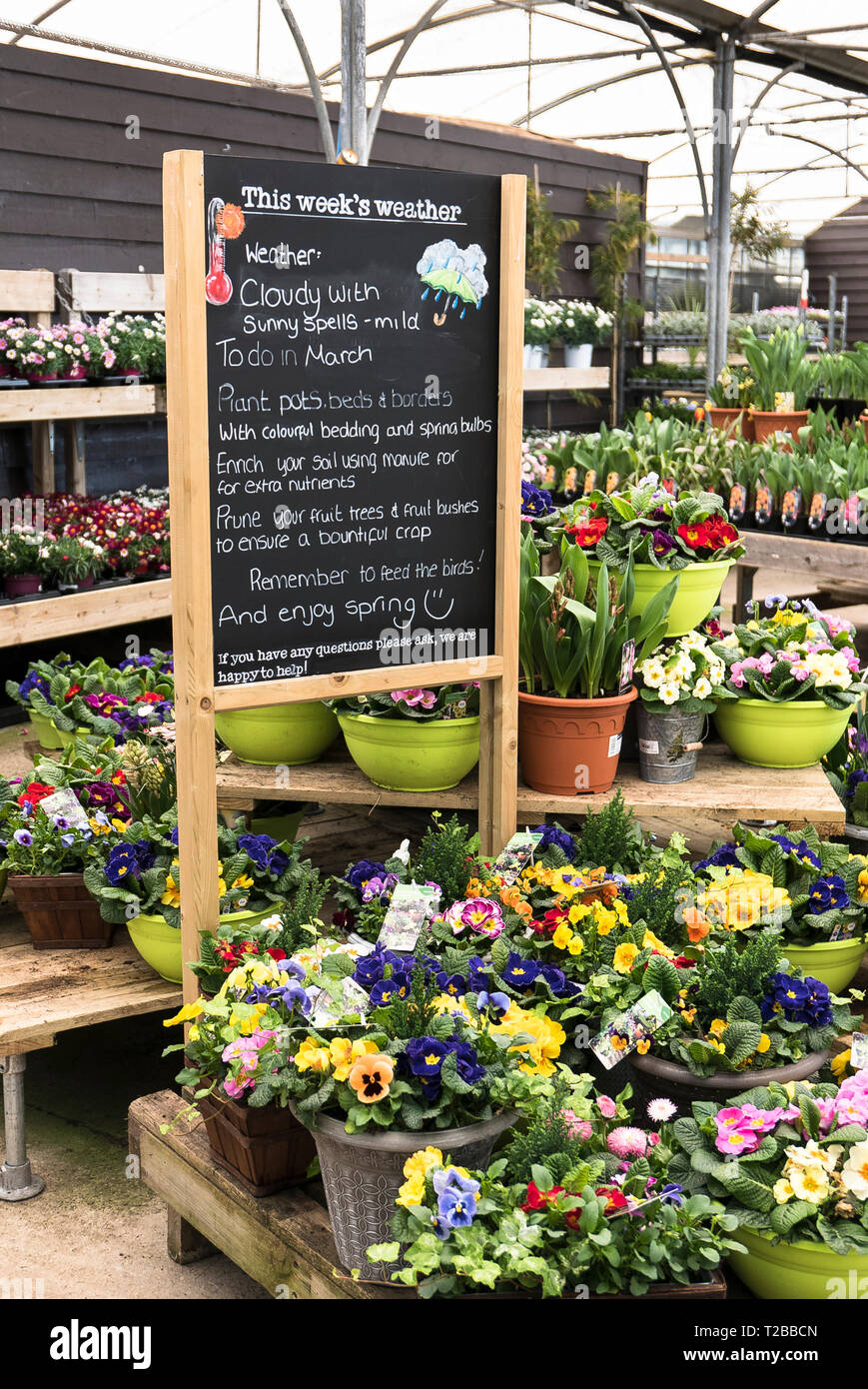 Hilfreiche Hinweise für die Arbeit im Garten in einem Englischen Garten Center im Frühjahr UK Stockfoto