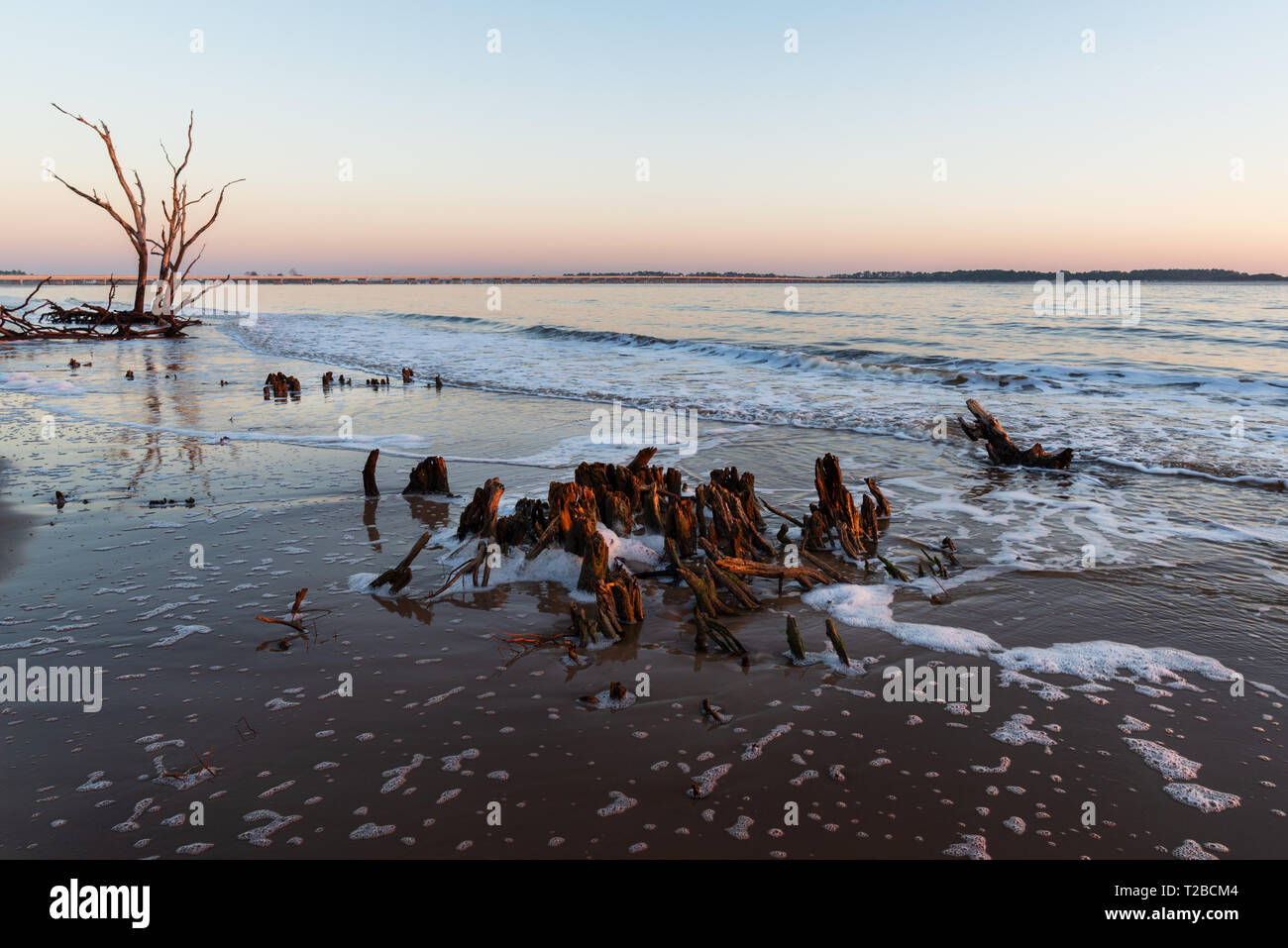 Sea Foam bildet sich um die Überreste der großen Eichen entlang der Küste eines Driftwood Beach auf Big Talbot Island, Florida. Stockfoto