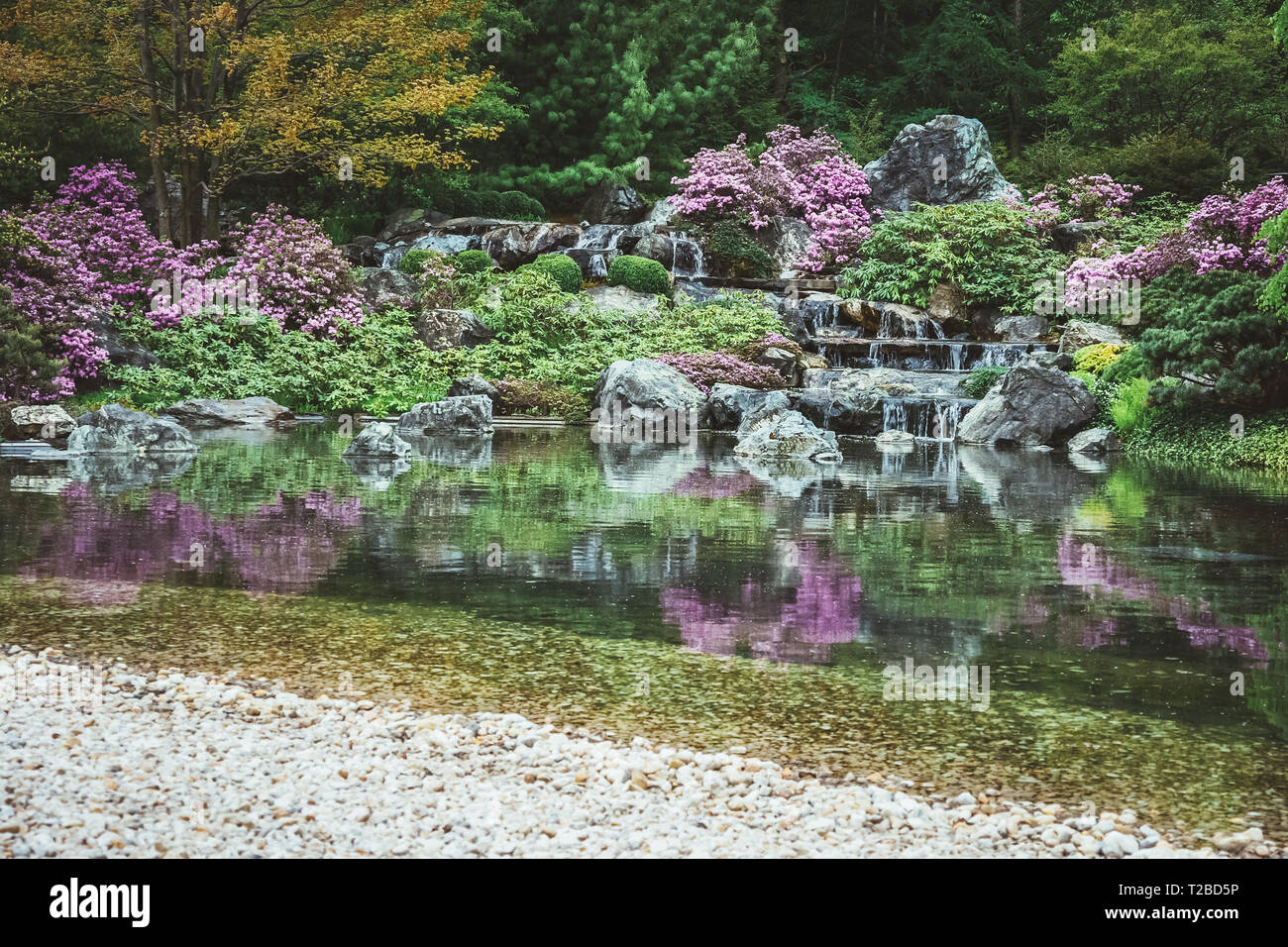 Baume Und Pflanzen Fur Zen Garten Design Stockfotos Und Bilder Kaufen Alamy