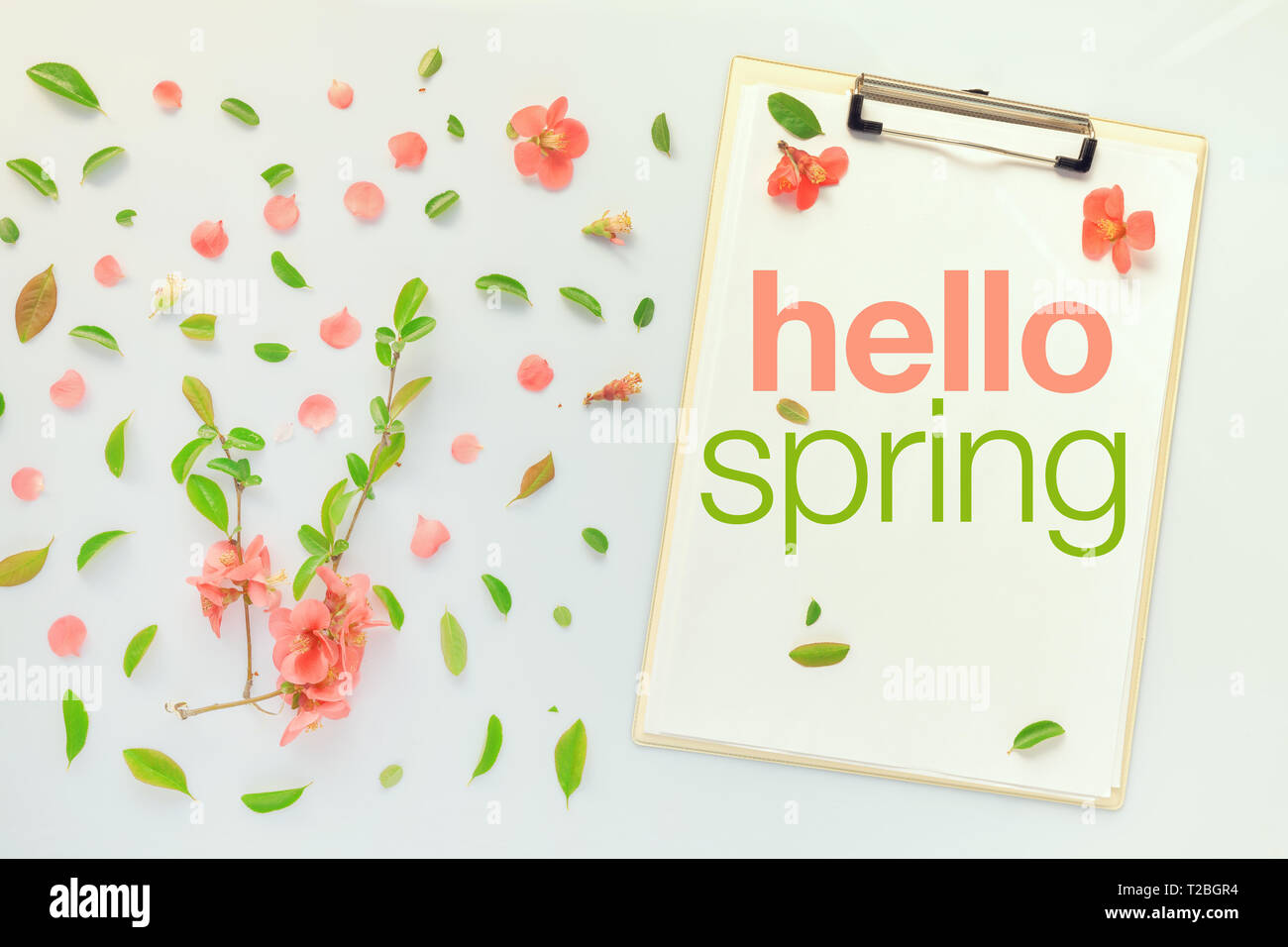 Hallo Frühling Nachricht auf Zwischenablage beachten Sie Papier, Ansicht von oben flach Stockfoto