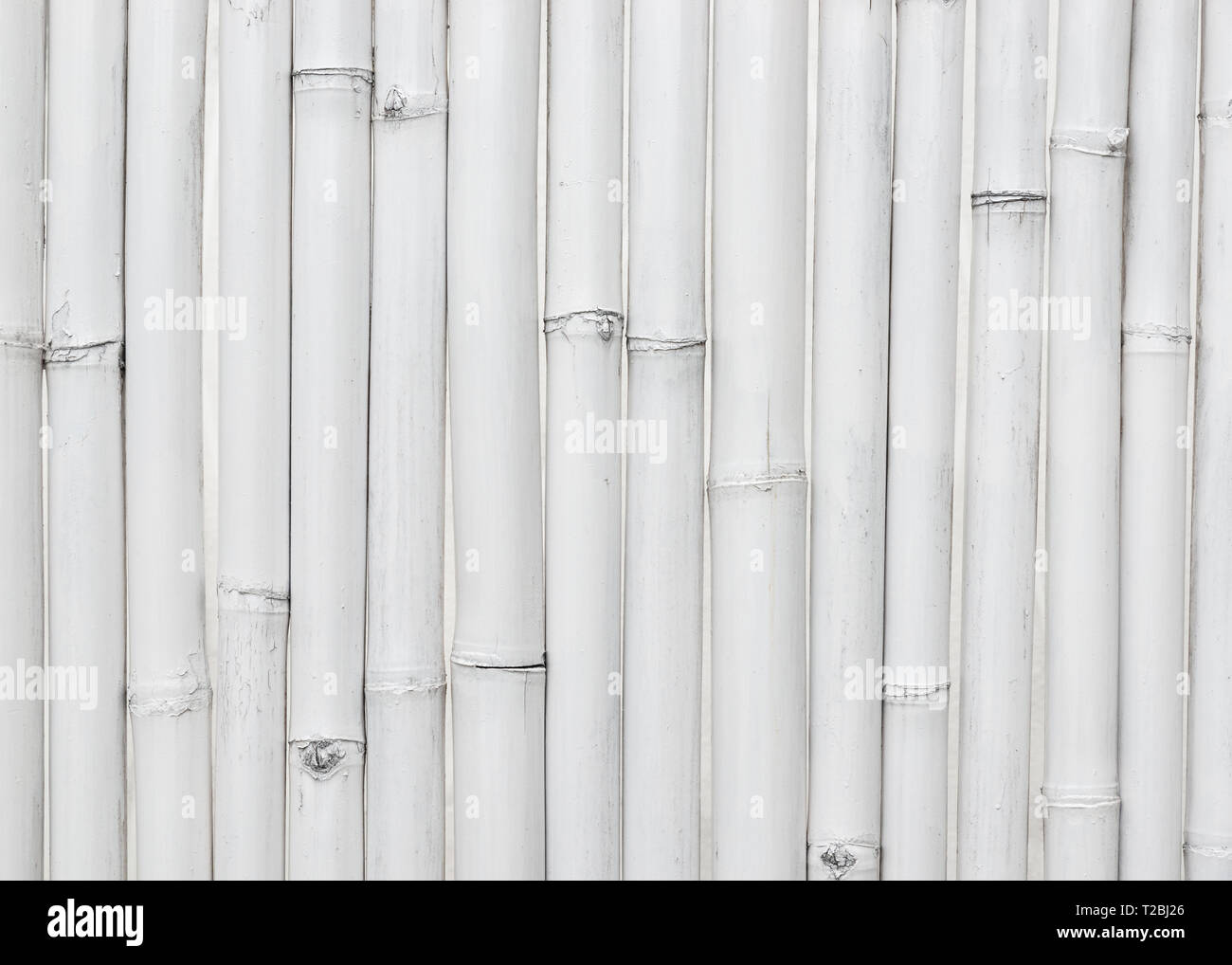 Weiß Bambus wand Textur oder Hintergrund gemalt Stockfoto