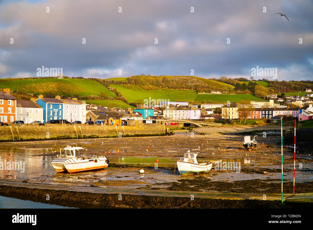 Küstenlandschaft - Hafen - Aberaeron, Ceredigion Stockfoto