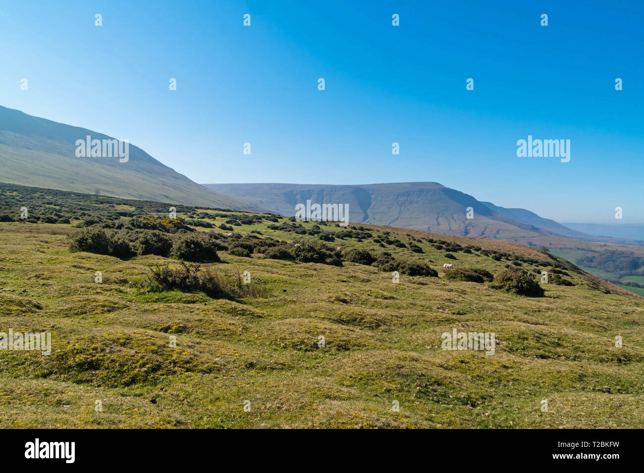 Twmpa (Lord Hereford Knopf) von unten aus Heu Bluff, Hay-on-Wye, Powys UK. März 2019 Stockfoto
