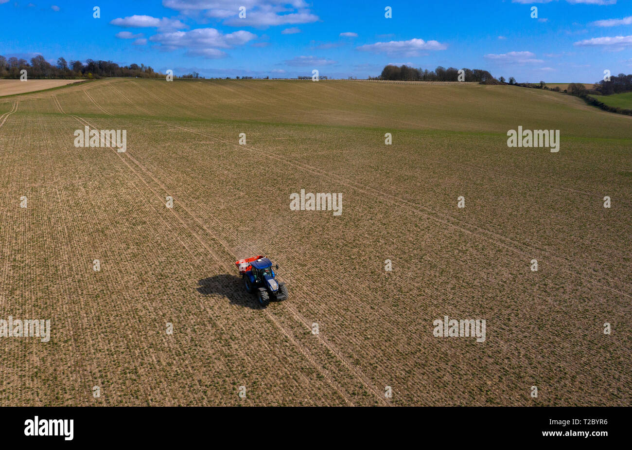 Traktor verbreiten Dünger auf Feld von oben mit Drone, England, Großbritannien Stockfoto