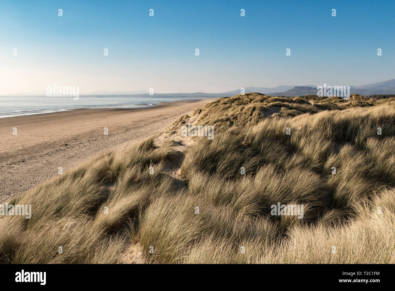 Die leeren Strand bei Harlech, Gwynedd, Wales, UK, von Dünen mit Blick auf die Irische See und die Halbinsel Llŷn gesichert Stockfoto