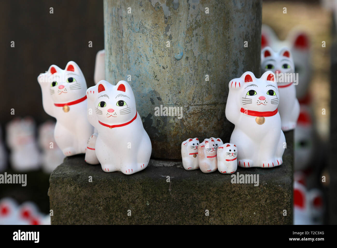 Winkende Katze maneki-neko Statuen auf dem Gotokuji Tempel in der setagaya Distrikt von Tokio in Japan. Der Legende nach, dieser Tempel ist der Geburtsort o Stockfoto