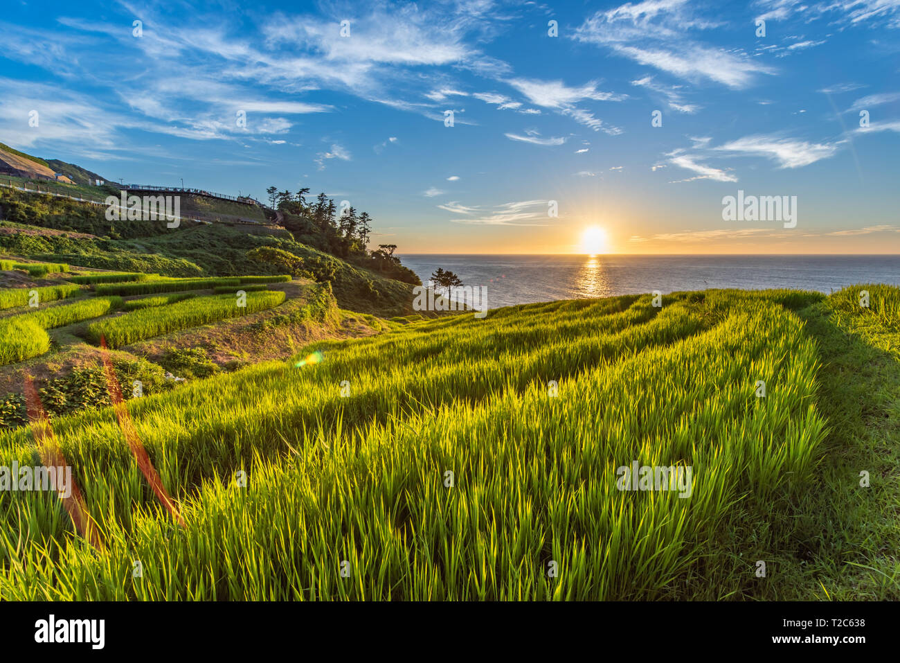 Schöne Aussicht auf den Sonnenuntergang von Senmaida Reisfeld Terrasse Wajima Ishikawa, Japan Stockfoto