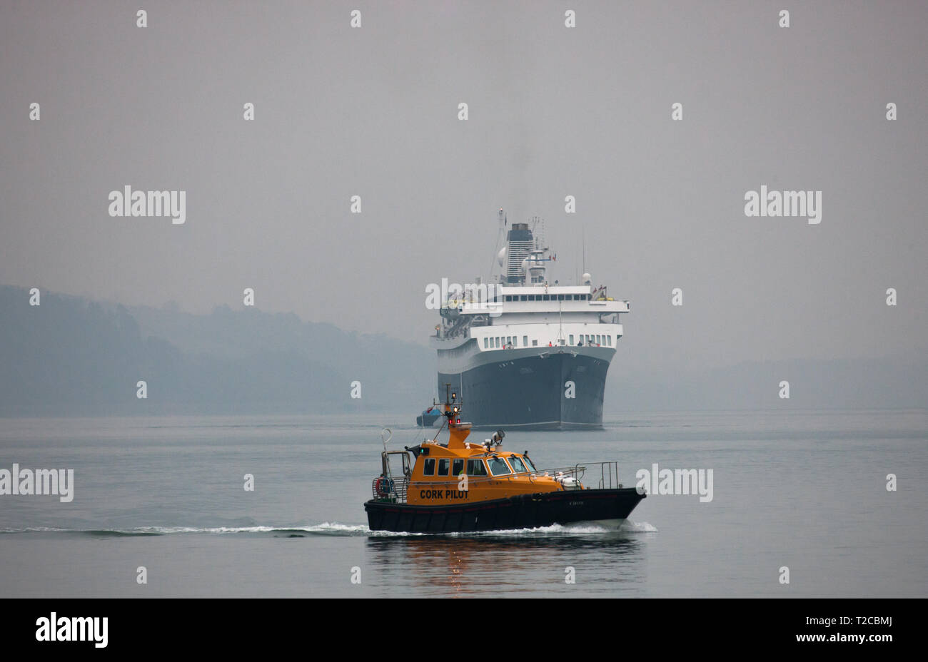 Cobh, Cork, Irland. Der 1. April 2019. Kreuzfahrtschiff Astoria kommt in einer nebligen Hafen von Cork - das ist der erste Liner in der neuen Saison und wird hier durch den lotsenboot Failte in Cobh, Co Cork, Irland begleitet. Quelle: David Creedon/Alamy leben Nachrichten Stockfoto