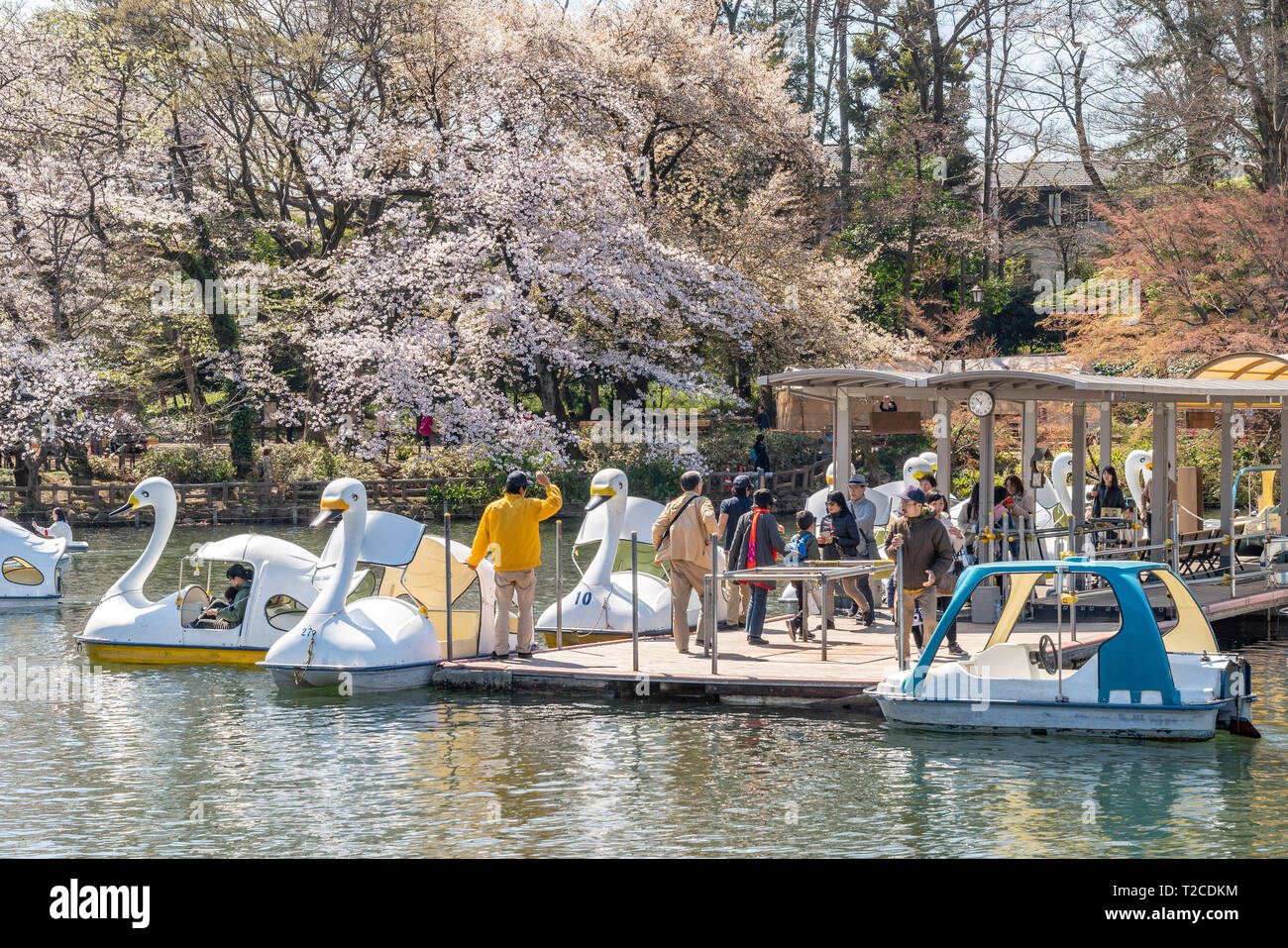 Japan boot schwan menschen boote Fotos und Bildmaterial in hoher