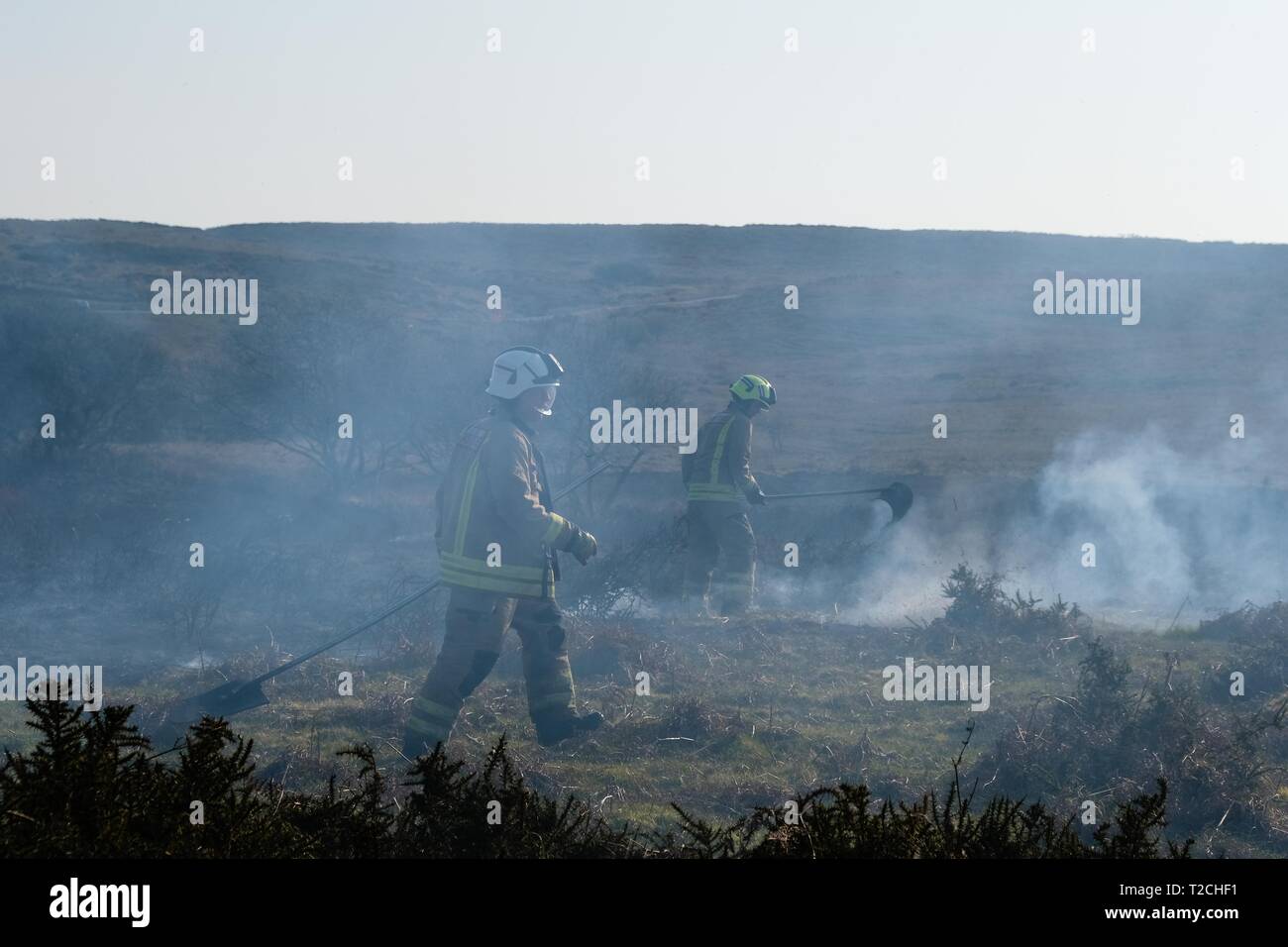 Swansea, Wales, UK. Der 1. April 2019. Die Wärme des Tages: Trotz der 31. März Termin gras Brände weiter auf der Halbinsel Gower gemeinsame Land zu Wut, hier im Moor bei 'Cefn Bryn'. Während die Bauern brauchen Gors und andere Abdeckung Pflanzen zu löschen neue Triebe für gute Weide zu ermöglichen, die Tier- und Pflanzenwelt Gruppen wie der RSPB, markieren Sie die Notlage der Boden brütende Vögel und kleine Säugetiere. Teil Zeit Feuerwehrleute Adam Cowley von reynoldston Feuerwache, Gower, in der Nähe von Swansea, erläuterte die Notwendigkeit der Wind fegte Flammen zu kontrollieren. Credit: Gareth LLewelyn/Alamy leben Nachrichten Stockfoto