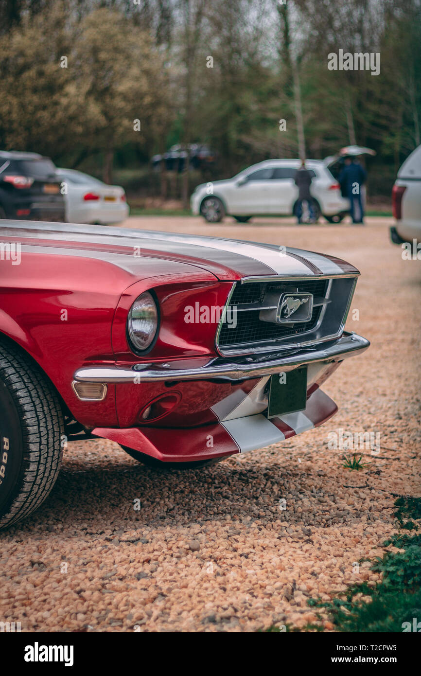 Rot 60er Mustang Stockfoto