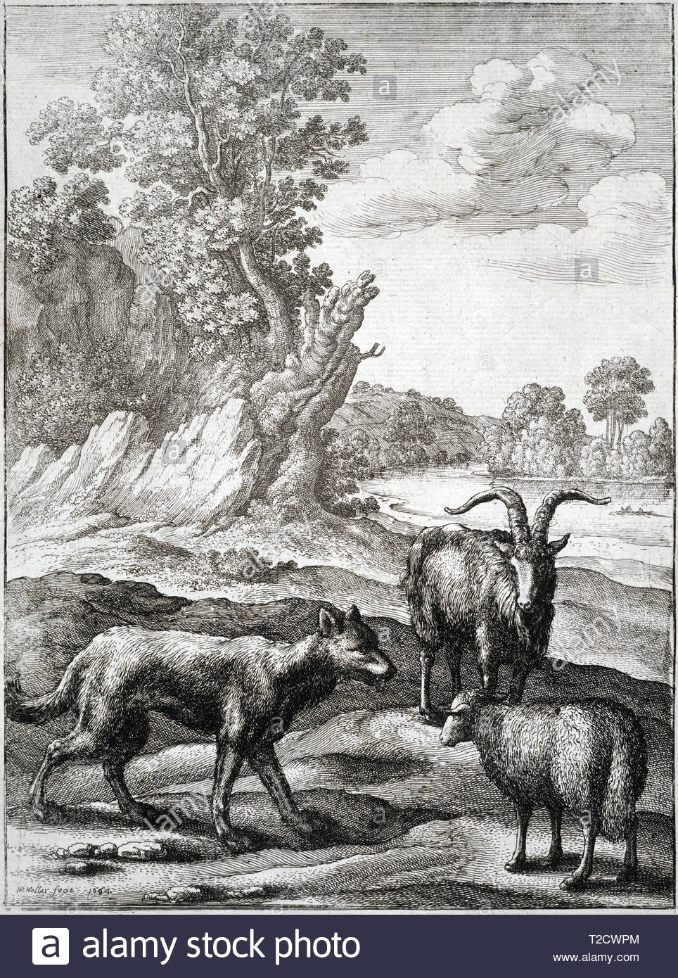 Der Wolf und das Lamm, einem der Aesops Fabeln, Radierung von Böhmische Kupferstecher Wenzel Hollar aus 1600s Stockfoto